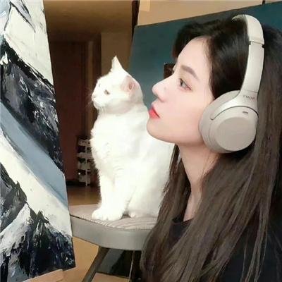 非常主播